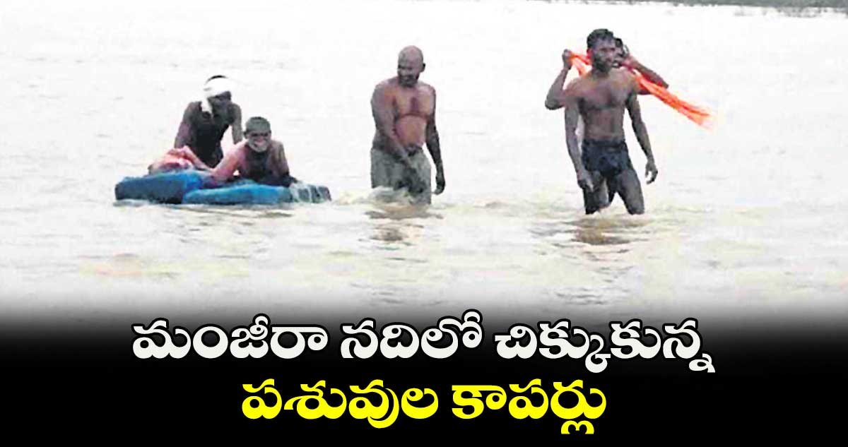 మంజీరా నదిలో చిక్కుకున్న పశువుల కాపర్లు 