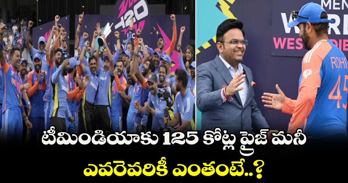 2024 T20 World Cup: టీమిండియాకు 125 కోట్ల ప్రైజ్ మనీ.. ఎవరెవరికీ ఎంతంటే..?