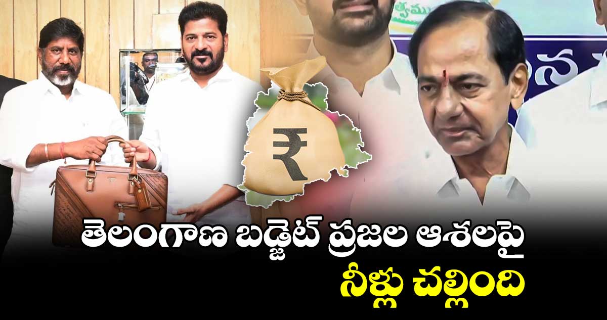 తెలంగాణ బడ్జెట్ ప్రజల ఆశలపై నీళ్లు చల్లింది : కేసీఆర్