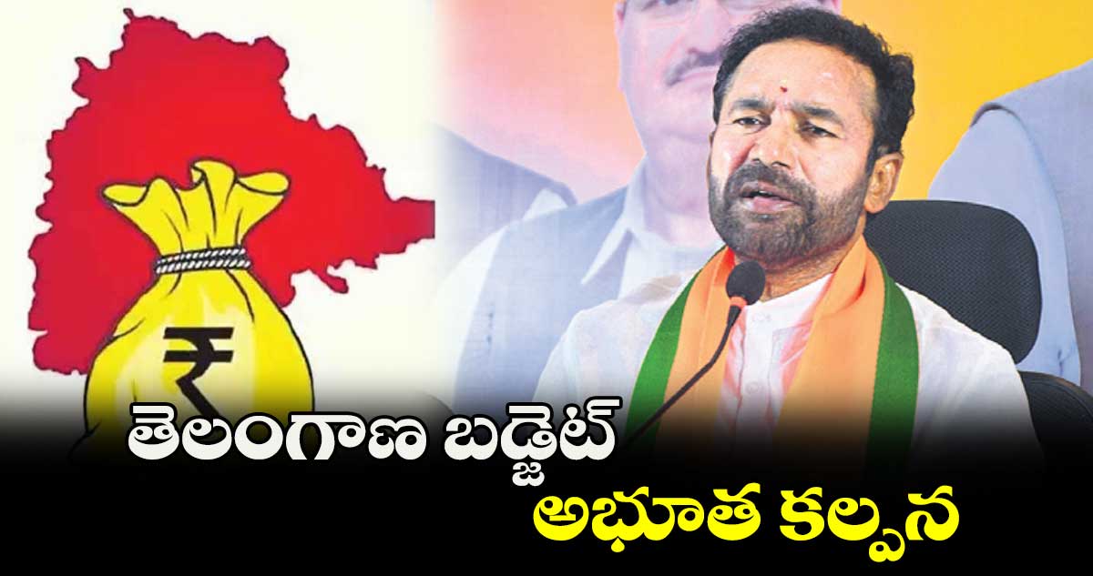 తెలంగాణ బడ్జెట్ అభూత కల్పన