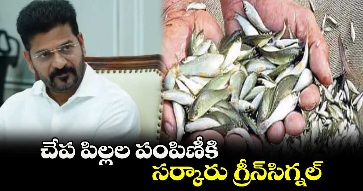 చేప పిల్లల పంపిణీకి సర్కారు గ్రీన్​సిగ్నల్