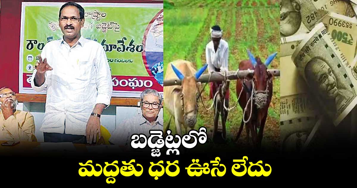 బడ్జెట్లలో మద్దతు ధర ఊసే లేదు