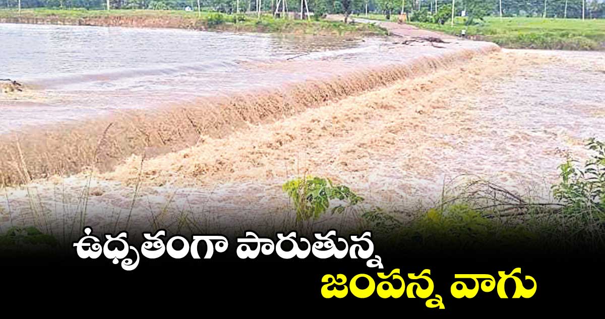 ఉధృతంగా పారుతున్న జంపన్న వాగు