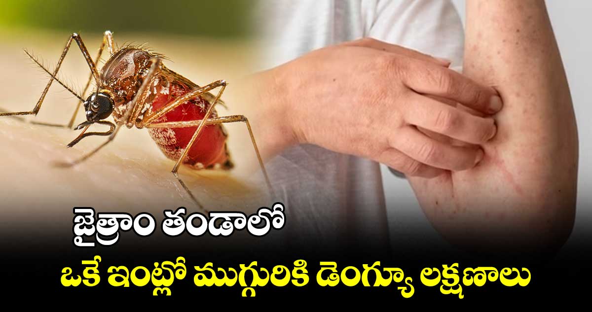  జైత్రాం తండాలో .. ఒకే ఇంట్లో ముగ్గురికి డెంగ్యూ లక్షణాలు 