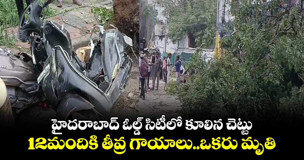 హైదరాబాద్ ఓల్డ్ సిటీలో కూలిన చెట్టు... 12మందికి తీవ్ర గాయాలు..ఒకరు మృతి.. 