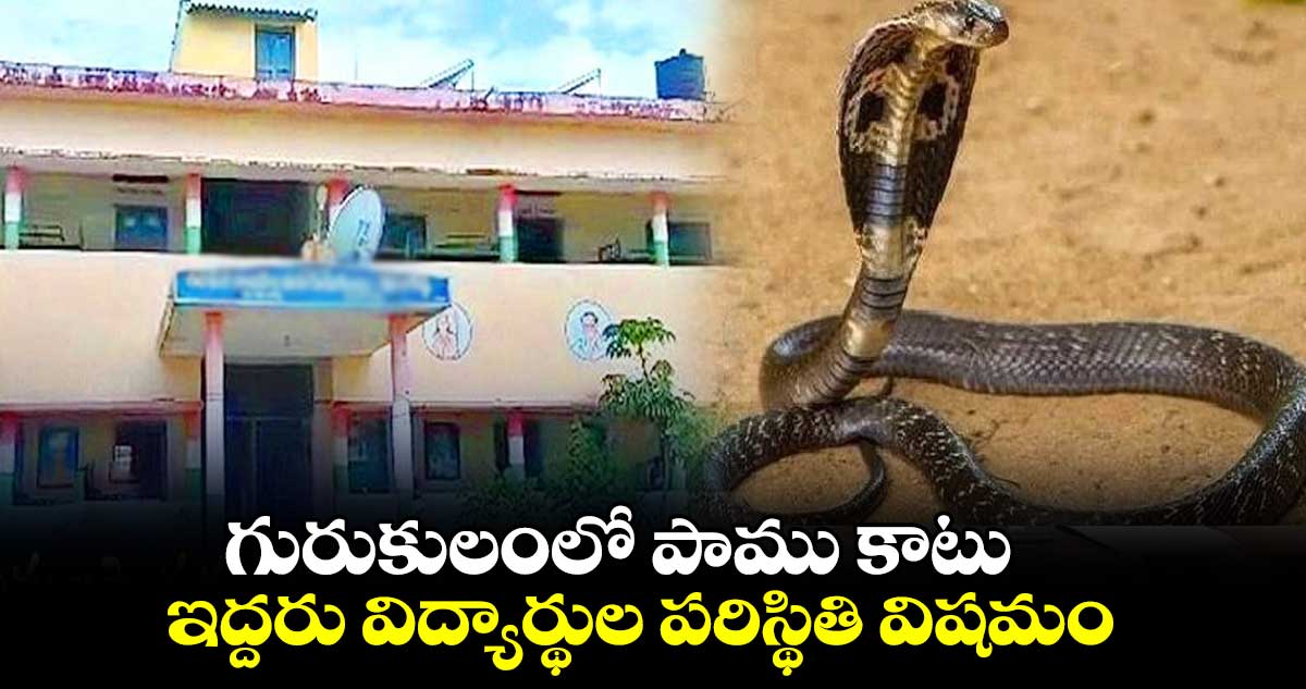 గురుకులంలో పాము కాటు ఇద్దరు విద్యార్థుల పరిస్థితి విషమం