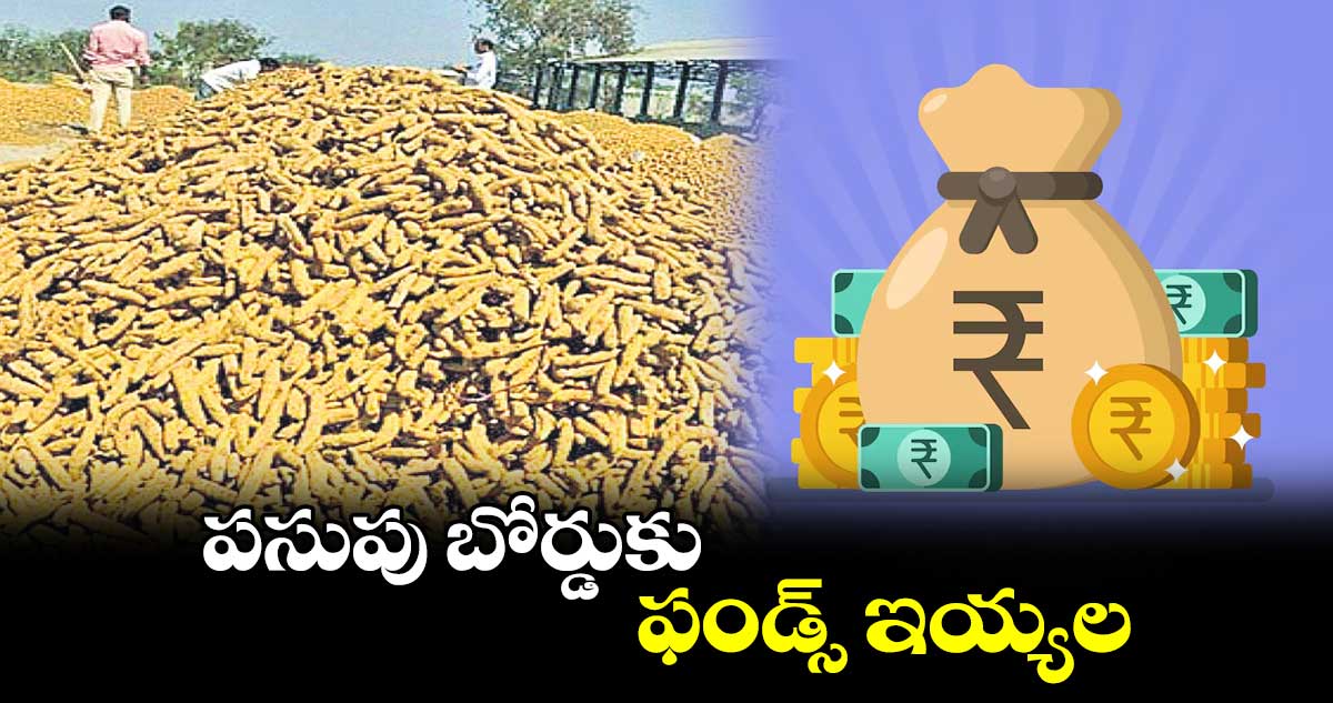 పసుపు బోర్డుకు ఫండ్స్ ఇయ్యల