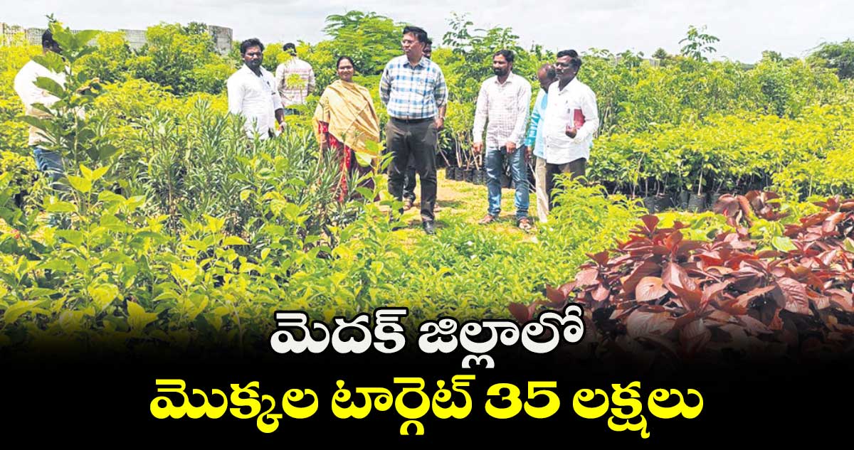 మెదక్  జిల్లాలో  మొక్కల టార్గెట్ 35 లక్షలు 