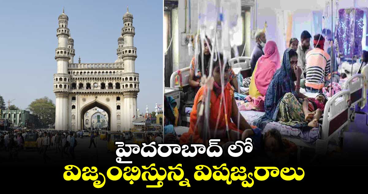 హైదరాబాద్ లో విజృంభిస్తున్న విషజ్వరాలు...