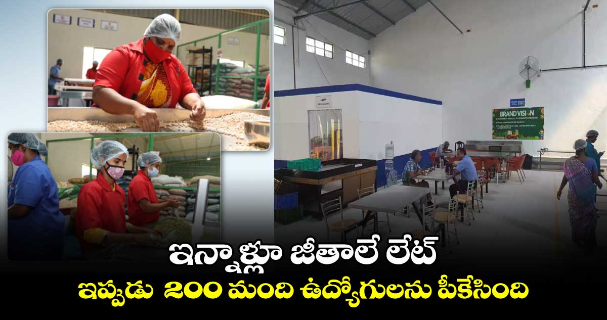 Layoffs: ఇన్నాళ్లూ జీతాలే లేట్ చేసింది.. ఇప్పుడు  200 మంది ఉద్యోగులను ఉన్నపళంగా పీకేసింది..