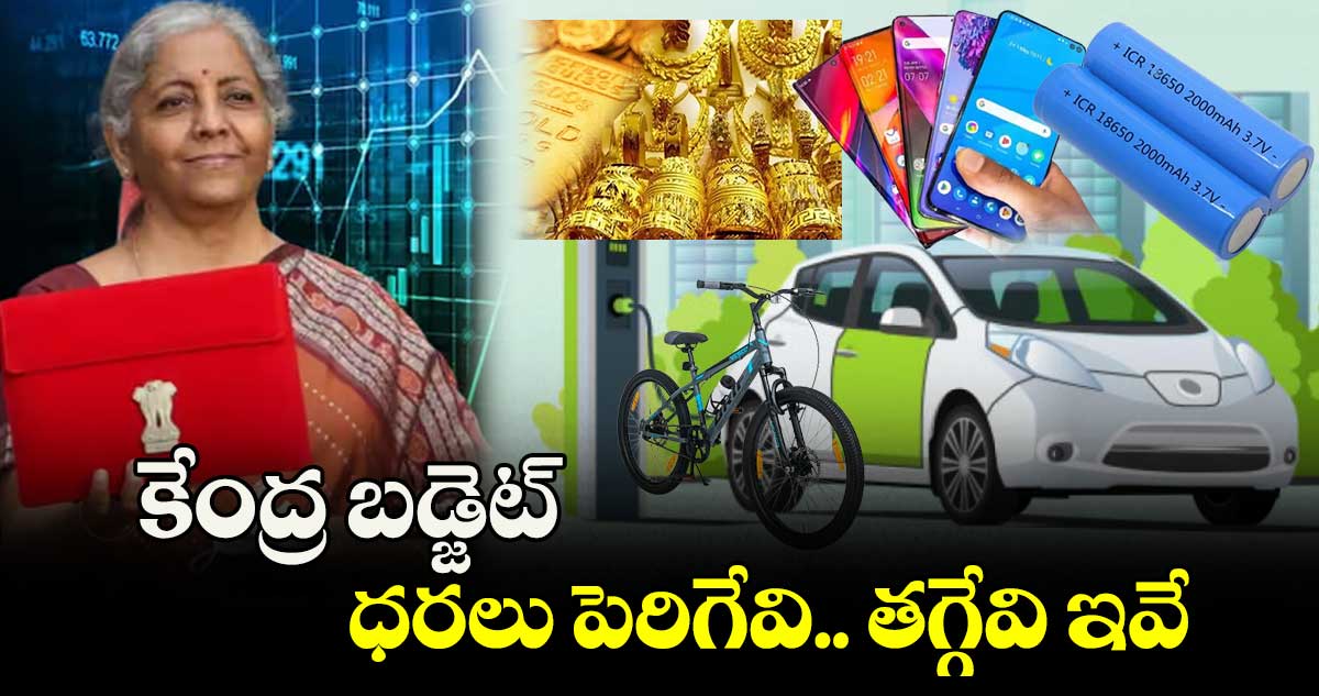 Union Budget 2024-25: ధరలు పెరిగేవి.. తగ్గేవి ఇవే