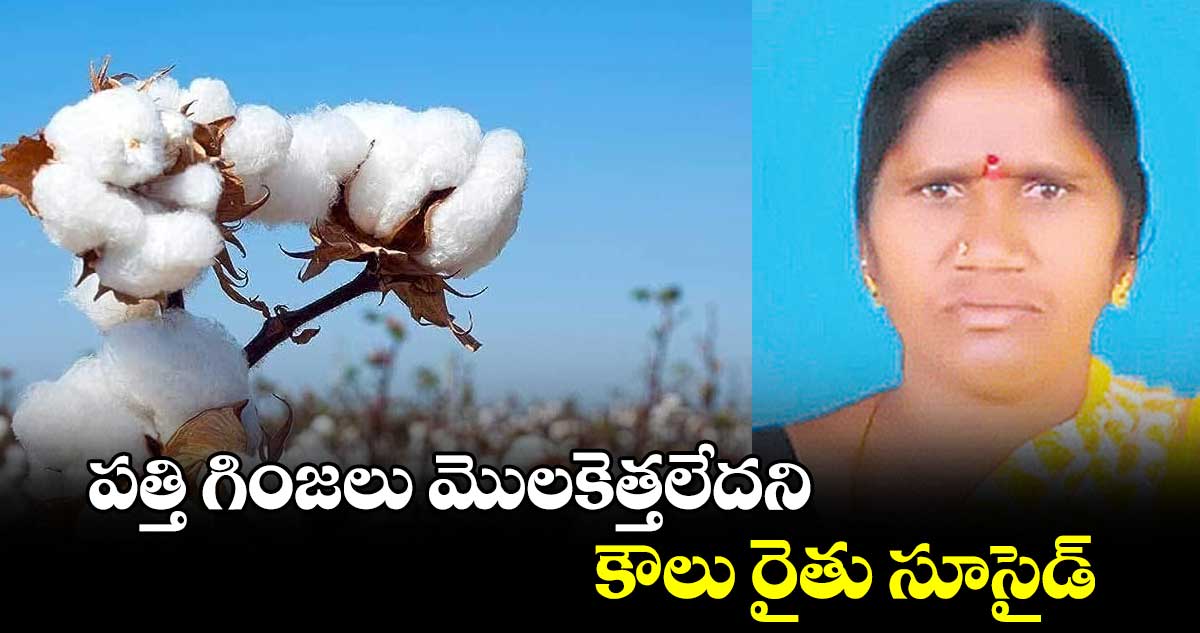 పత్తి గింజలు మొలకెత్తలేదని కౌలు రైతు సూసైడ్