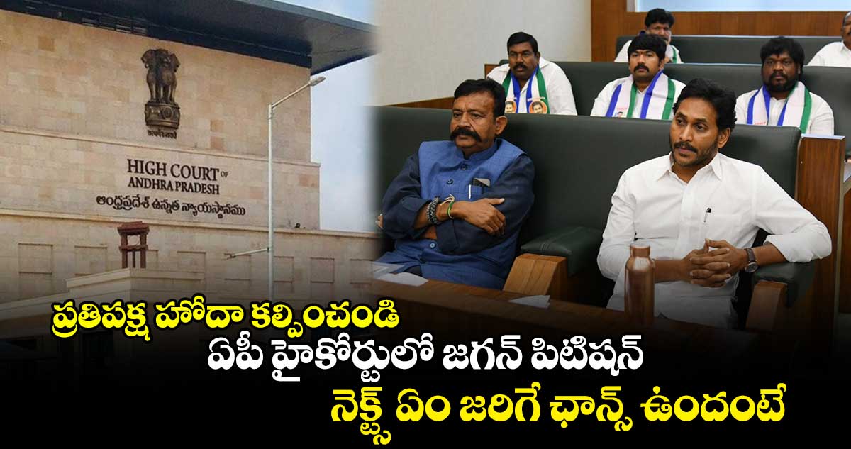 Jagan: ప్రతిపక్ష హోదా కల్పించండి.. ఏపీ హైకోర్టులో జగన్ పిటిషన్.. నెక్ట్స్ ఏం జరిగే ఛాన్స్ ఉందంటే..