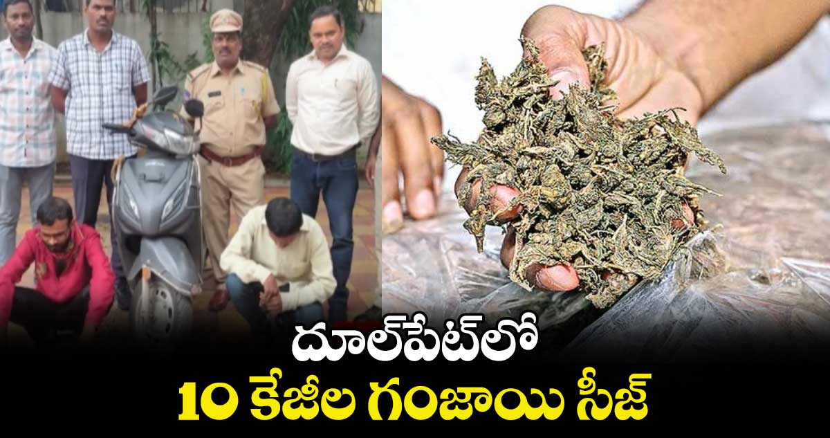 దూల్పేట్లో 10 కేజీల గంజాయి సీజ్