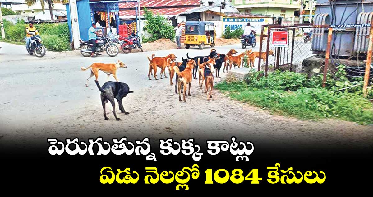 పెరుగుతున్న కుక్క కాట్లు..ఏడు నెలల్లో 1084 కేసులు