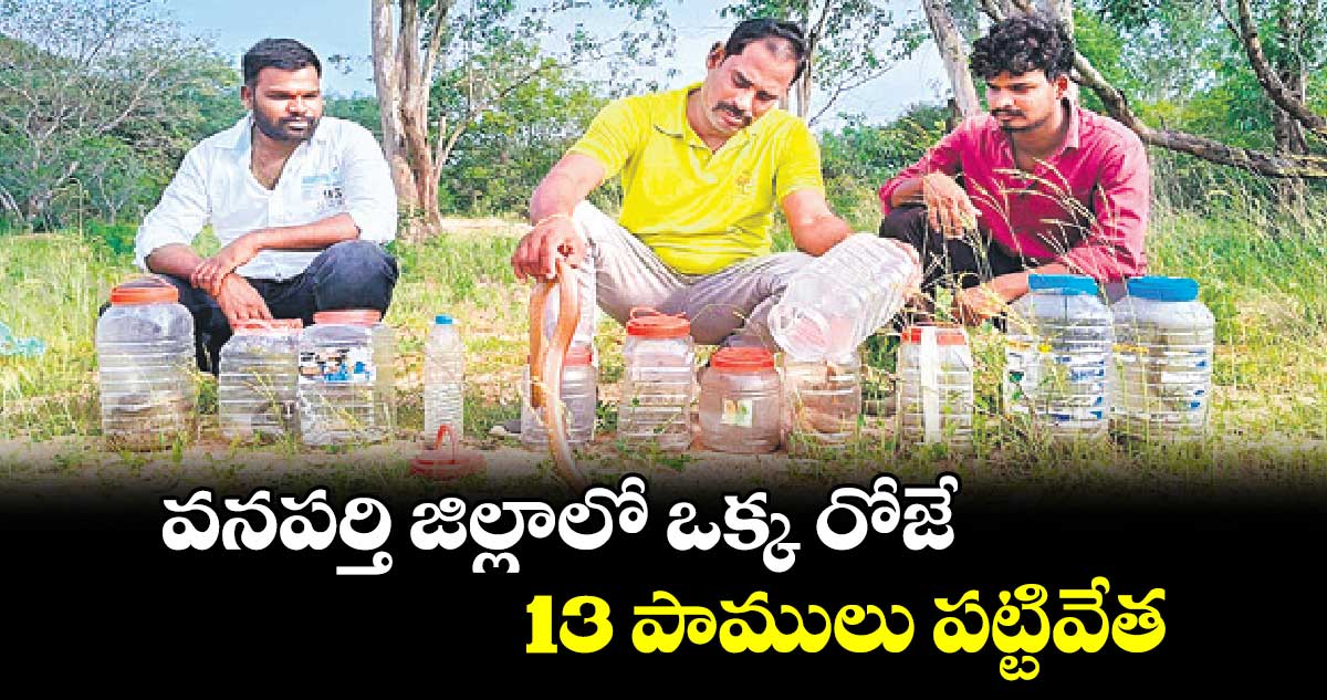 వనపర్తి జిల్లాలో ఒక్క రోజే 13 పాములు పట్టివేత