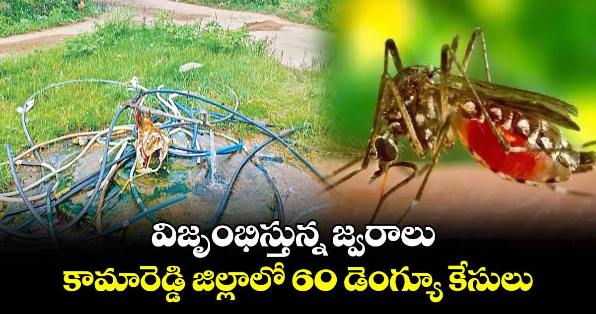 విజృంభిస్తున్న జ్వరాలు..కామారెడ్డి జిల్లాలో 60 డెంగ్యూ కేసులు.. నలుగురి మృతి