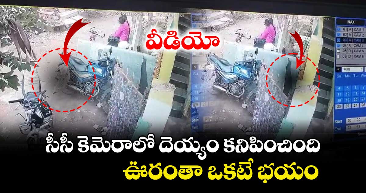 వీడియో : సీసీ కెమెరాలో దెయ్యం కనిపించింది.. ఊరంతా ఒకటే భయం