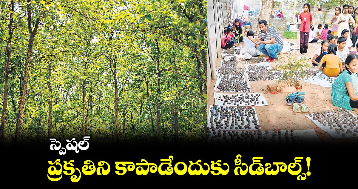  స్పెషల్ : ప్రకృతిని కాపాడేందుకు సీడ్​బాల్స్​!