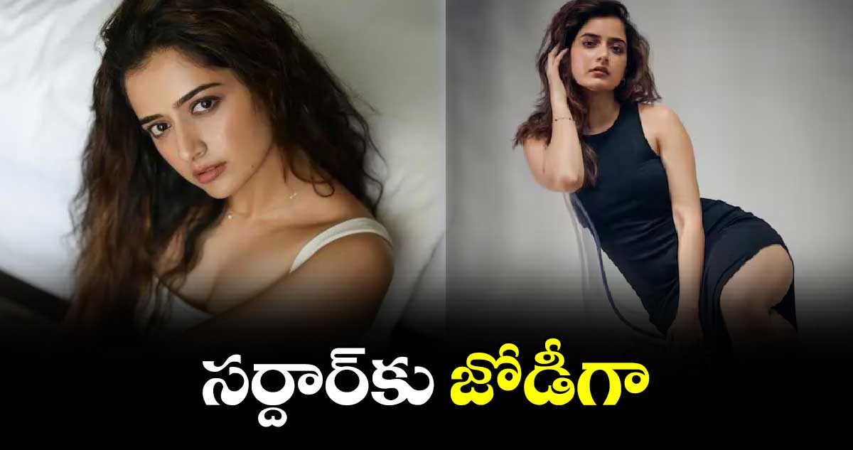 సర్దార్కు జోడీగా..