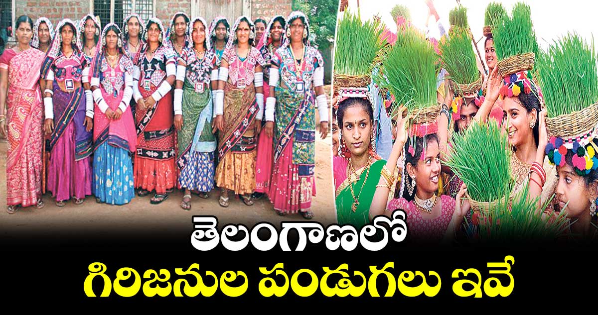 తెలంగాణలో గిరిజనుల పండుగలు ఇవే