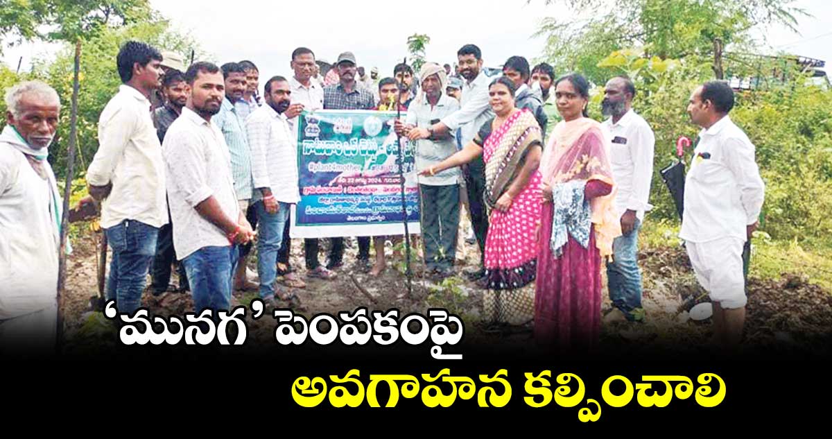 ‘మునగ’ పెంపకంపై అవగాహన కల్పించాలి : కలెక్టర్​ జితేశ్​ వి పాటిల్​