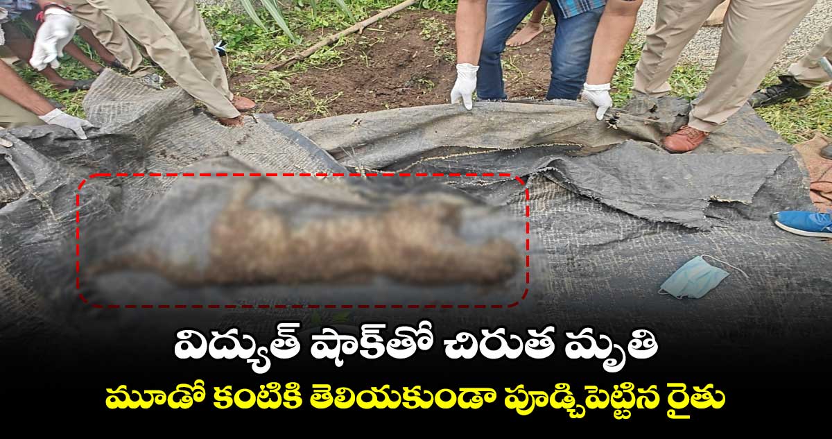 విద్యుత్ షాక్తో చిరుత మృతి.. మూడో కంటికి తెలియకుండా పూడ్చిపెట్టిన రైతు