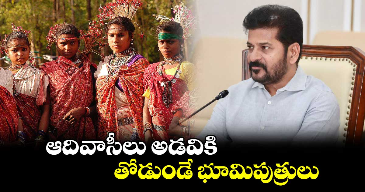 ఆదివాసీలు అడవికి తోడుండే భూమిపుత్రులు : సీఎం రేవంత్ రెడ్డి