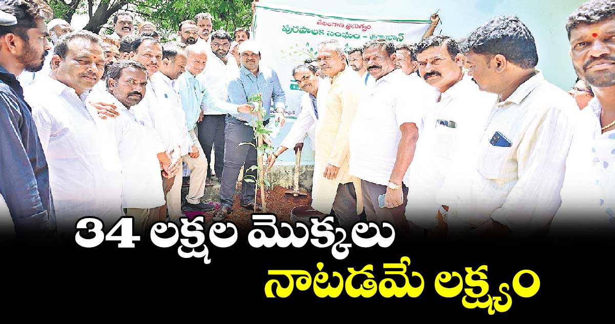 34 లక్షల మొక్కలు నాటడమే లక్ష్యం : కలెక్టర్ రాహుల్ రాజ్ 