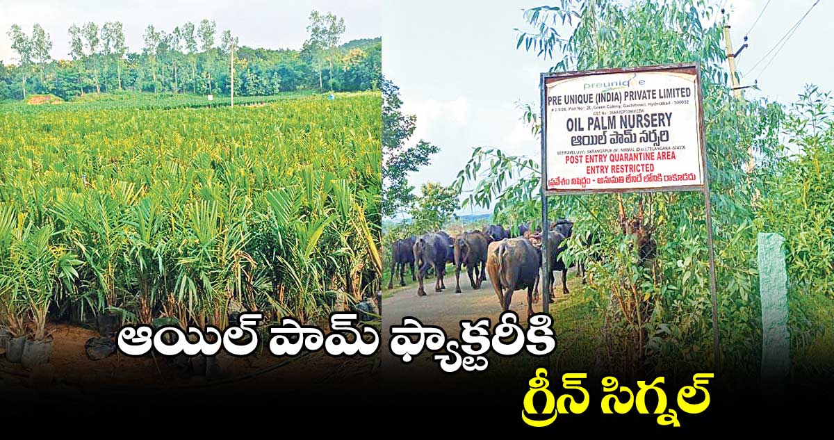 ఆయిల్ పామ్ ఫ్యాక్టరీకి గ్రీన్ సిగ్నల్..