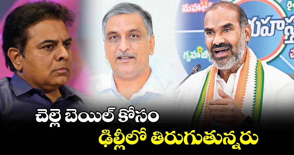 చెల్లె బెయిల్ కోసం ఢిల్లీలో తిరుగుతున్నరు