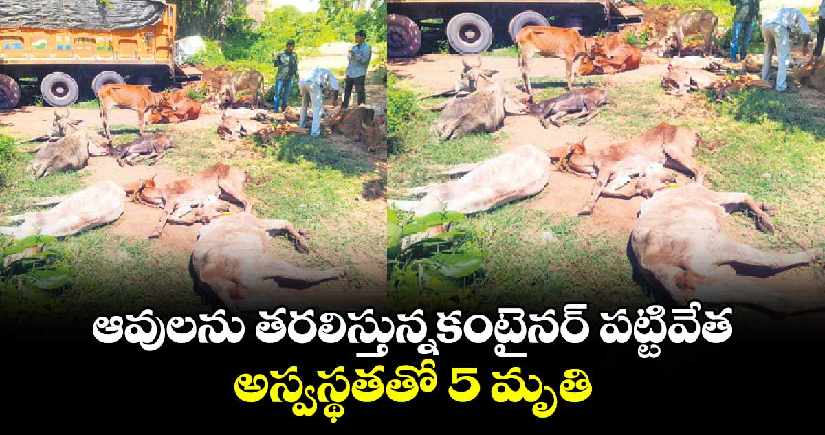 ఆవులను తరలిస్తున్నకంటైనర్‌‌‌‌ పట్టివేత..  అస్వస్థతతో 5 మృతి 