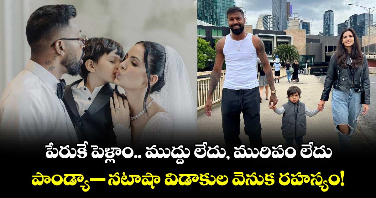 పేరుకే పెళ్లాం.. ముద్దు లేదు, మురిపం లేదు: పాండ్యా- నటాషా విడాకుల వెనుక రహస్యం!