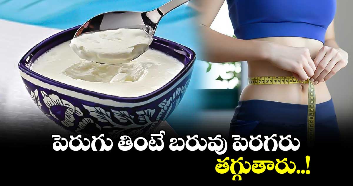 Health Tip : పెరుగు తింటే బరువు పెరగరు.. తగ్గుతారు..!