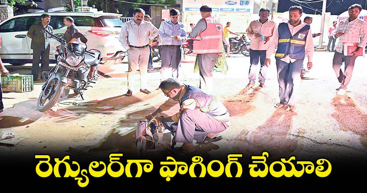 రెగ్యులర్​గా ఫాగింగ్​ చేయాలి: దానకిశోర్