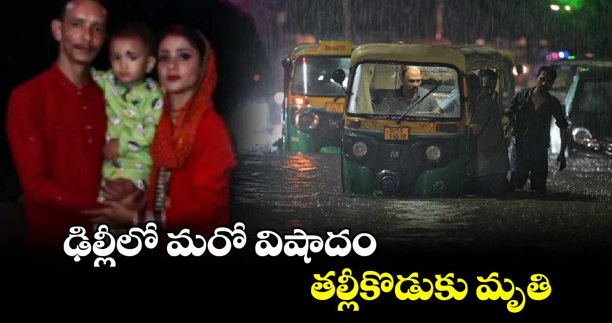  ఢిల్లీలో మరో విషాదం.. తల్లీకొడుకు మృతి