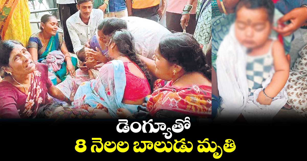 డెంగ్యూతో 8 నెలల బాలుడు మృతి