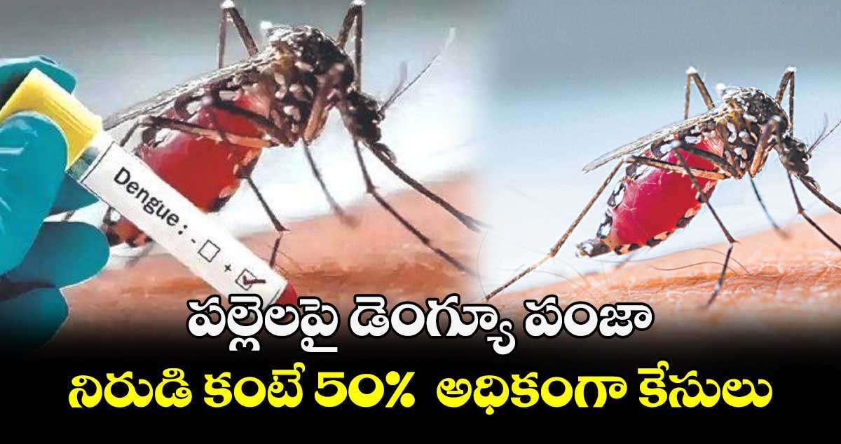 పల్లెలపై డెంగ్యూ పంజా.. నిరుడి కంటే 50%  అధికంగా కేసులు