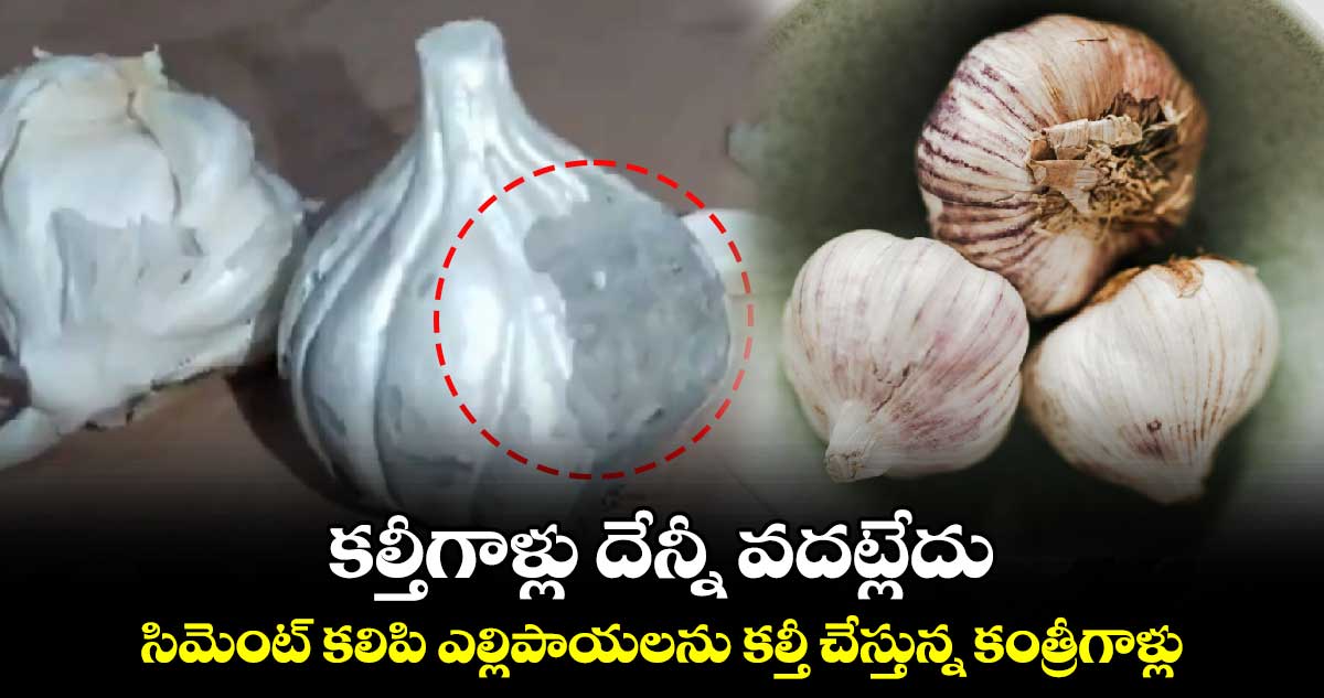 కల్తీగాళ్లు దేన్నీ వదట్లేదు..సిమెంట్ కలిపి ఎల్లిపాయలను కల్తీ చేస్తున్న కంత్రీగాళ్లు..