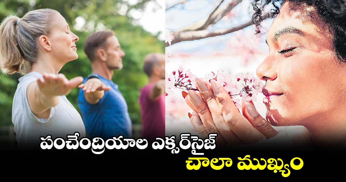 పంచేంద్రియాల ఎక్సర్​సైజ్​ చాలా ముఖ్యం