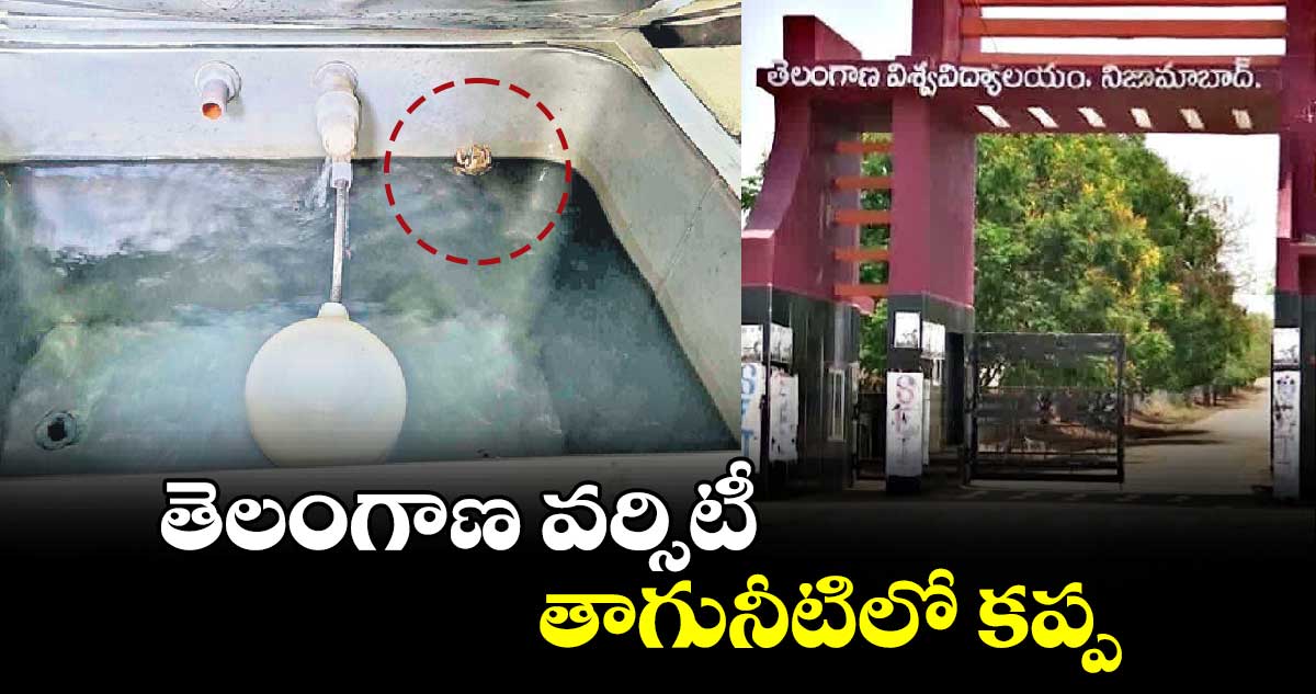 తెలంగాణ వర్సిటీ తాగునీటిలో కప్ప