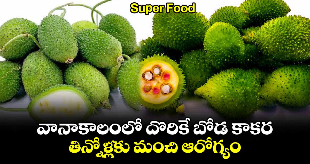 Super Food : వానాకాలంలో దొరికే బోడ కాకర.. తిన్నోళ్లకు మంచి ఆరోగ్యం