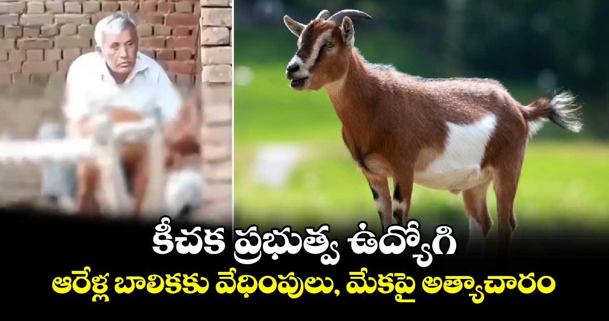 కీచక ప్రభుత్వ ఉద్యోగి.. ఆరేళ్ల బాలికకు వేధింపులు, మేకపై అత్యాచారం