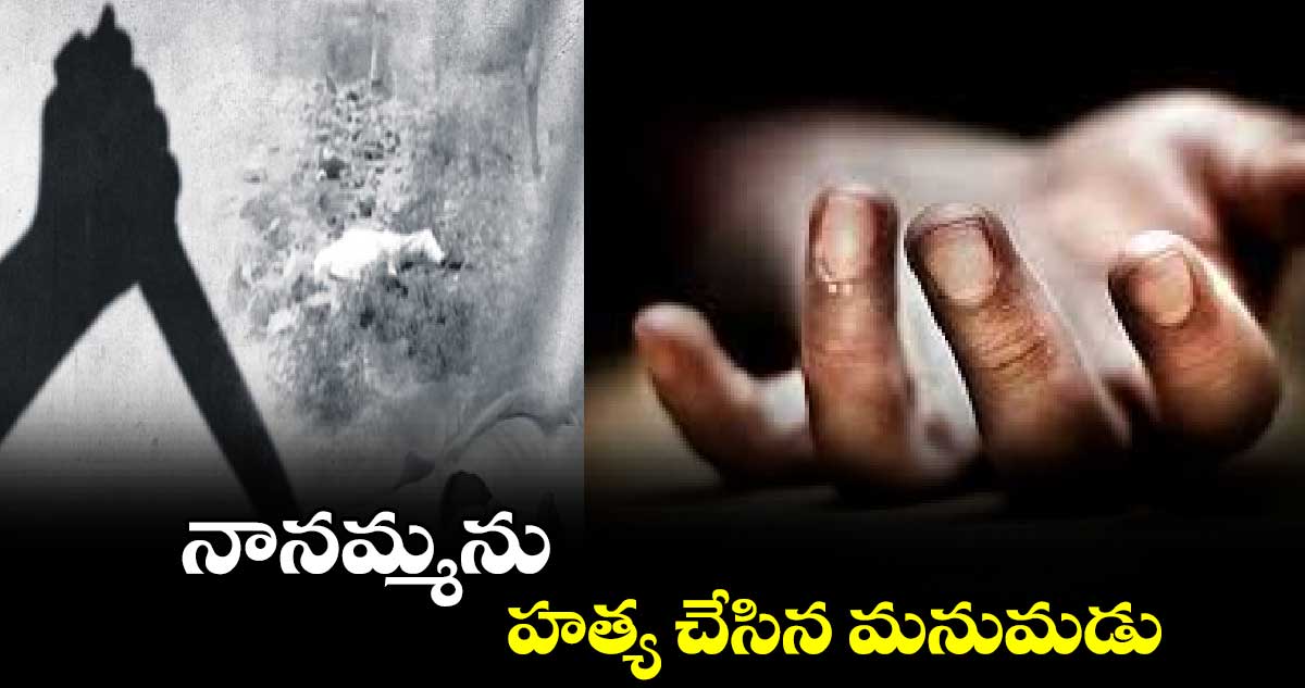 నానమ్మను హత్య చేసిన మనుమడు