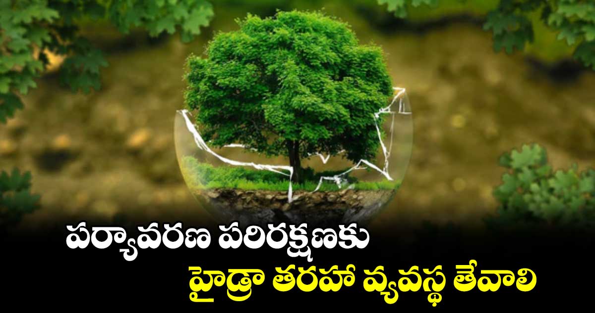 పర్యావరణ  పరిరక్షణకు హైడ్రా  తరహా వ్యవస్థ తేవాలి