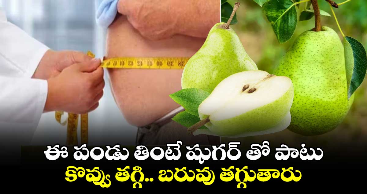 Health News: ఈ పండు  తింటే షుగర్​ తో పాటు కొవ్వు తగ్గి ... బరువు తగ్గుతారు..