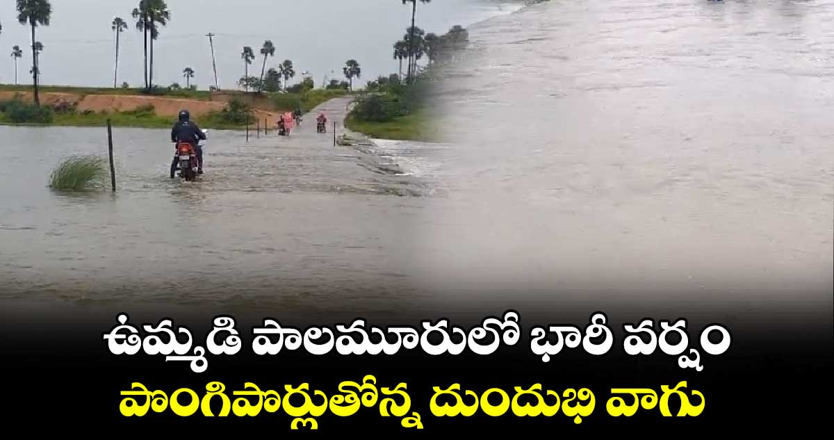 ఉమ్మడి పాలమూరులో భారీ వర్షం.. పొంగిపొర్లుతోన్న దుందుభి వాగు