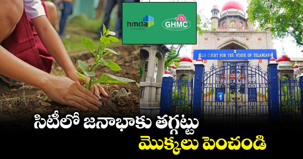 సిటీలో జనాభాకు తగ్గట్టు మొక్కలు పెంచండి : హైకోర్టు