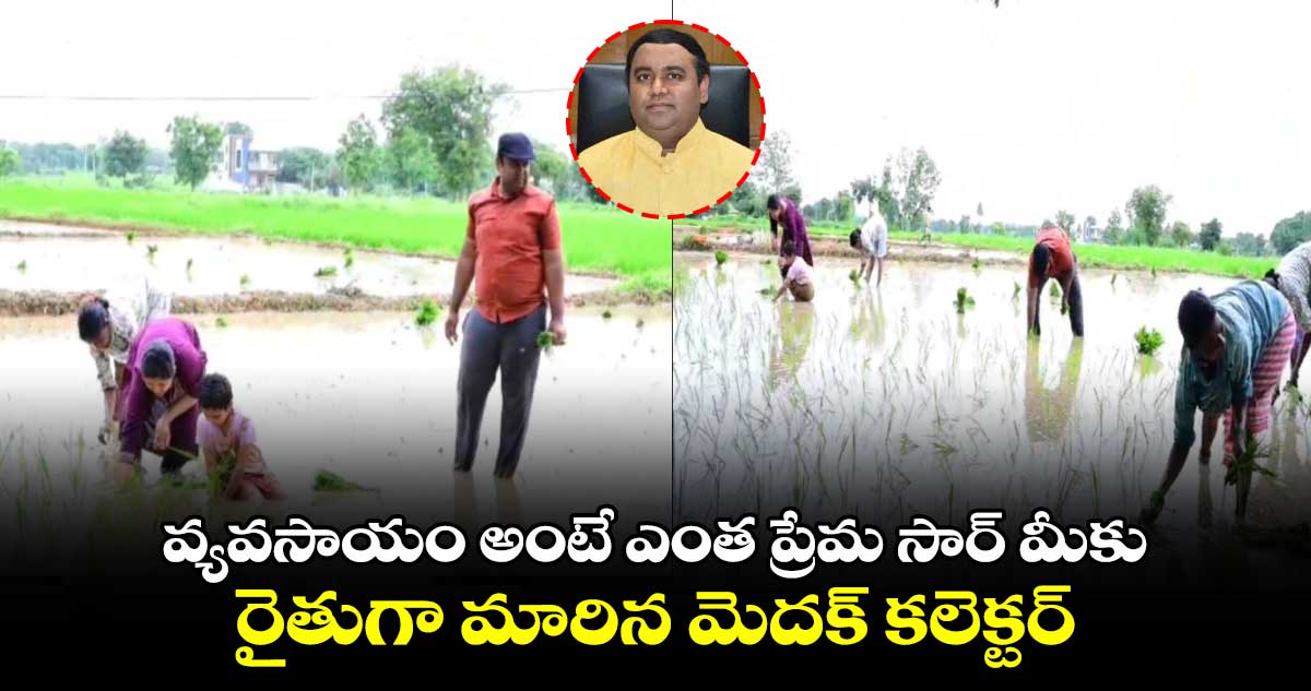 వ్యవసాయం అంటే ఎంత ప్రేమ సార్ మీకు..రైతుగా మారిన మెదక్ కలెక్టర్