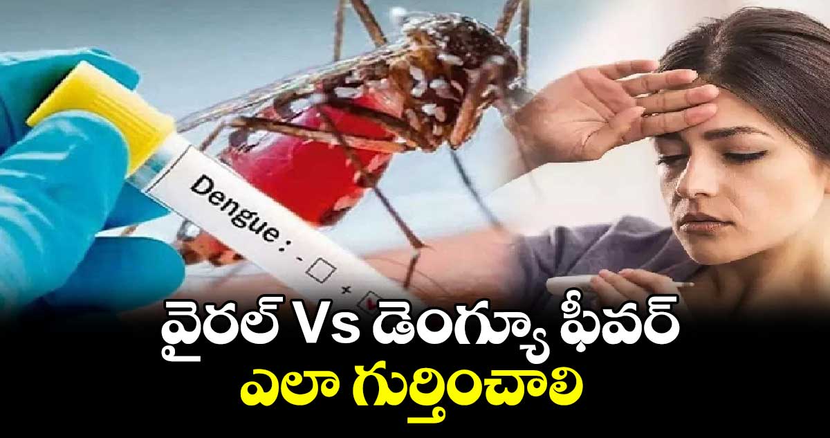 Health News:  వైరల్​ Vs డెంగ్యూ ఫీవర్​  ఎలా గుర్తించాలి